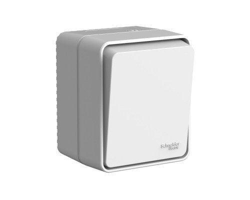 Systeme Electric AtlasDesign Profi54 О/У 1-клавишный ВЫКЛЮЧАТЕЛЬ с самовозвратом 10 АХ, СЕРЫЙ