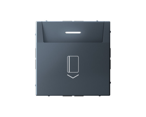 Systeme Electric ArtGallery Грифель Выключатель карточный 10А, без задержки времени, быстр.клемм.