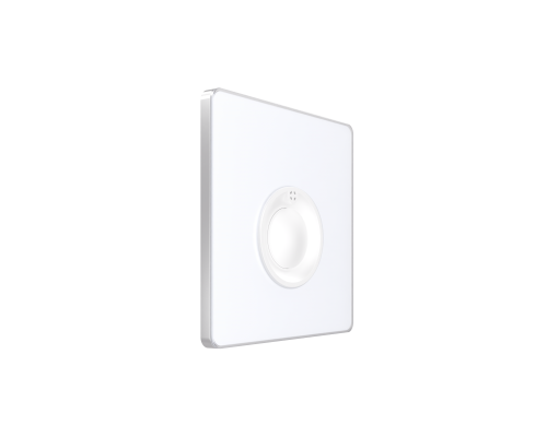 Systeme Electric Systeme Infinity Арктический лед Выключатель кнопочный 100Вт с выдержкой времени