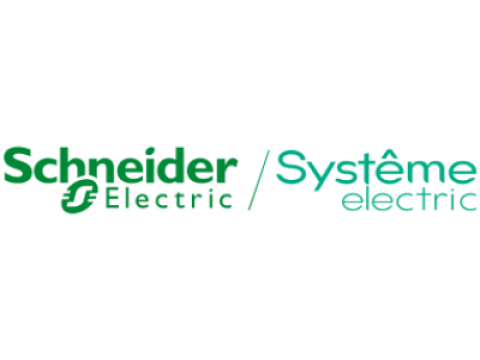 Вместо уходящей из России Schneider Electric создана Systeme Electric. 